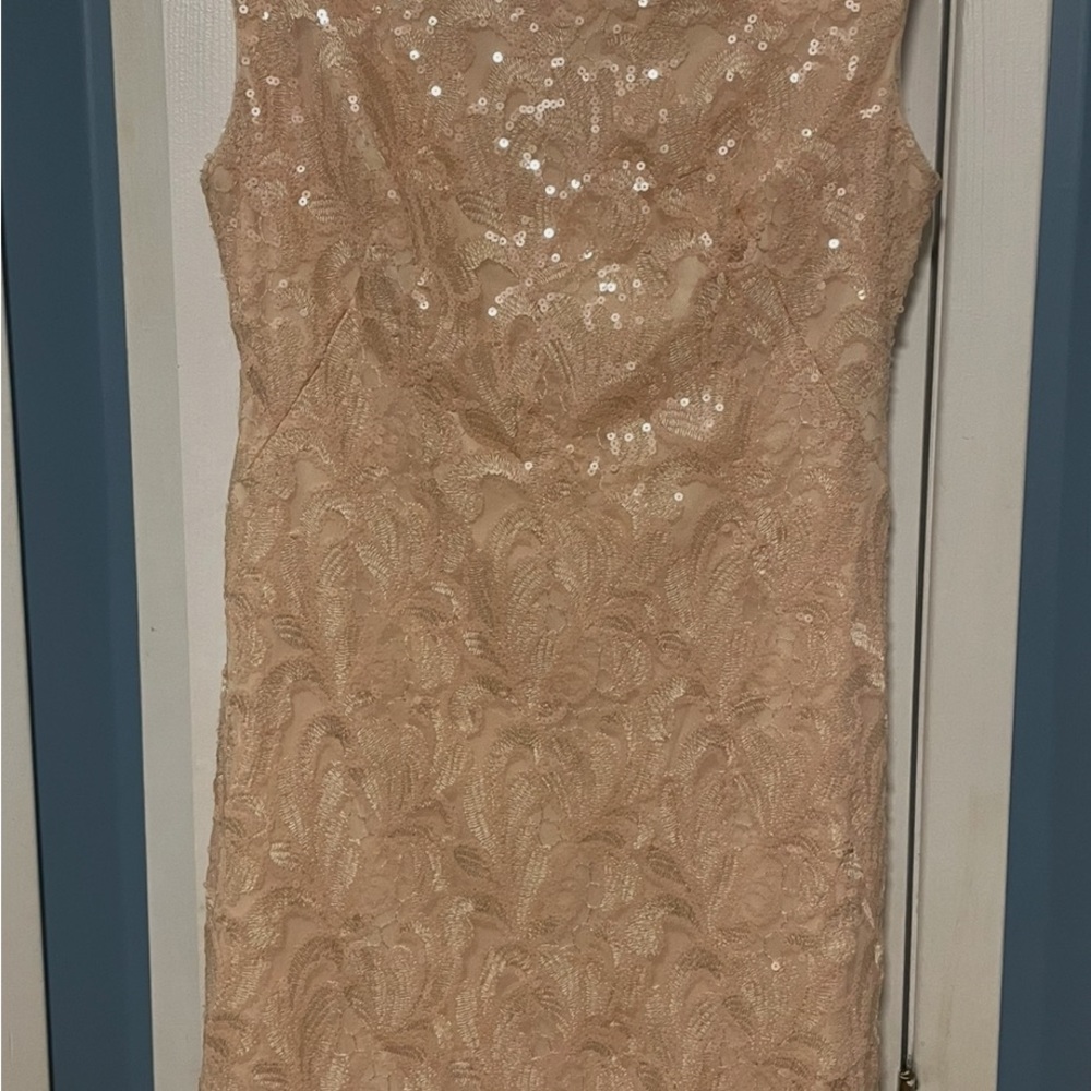 Elegant Sequin Lace Mini Dress - Cream